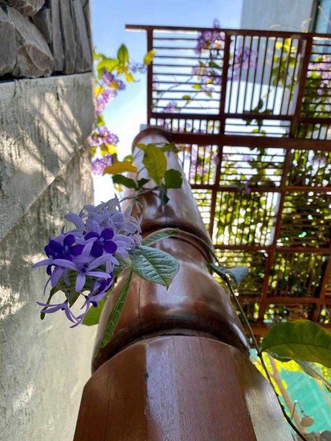 Ikiru 18 Private Saltwater Pool Villa, 3 Ensuite Br, Outdoor Bbq, 5 Mins To Beach 판타이체낭 외부 사진